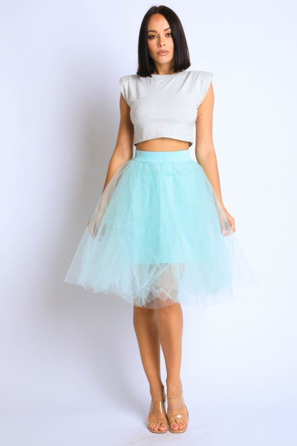 knee length tutu dress Pink Tulle Knee Length Prom Dress, Cute A-Line Party Dress